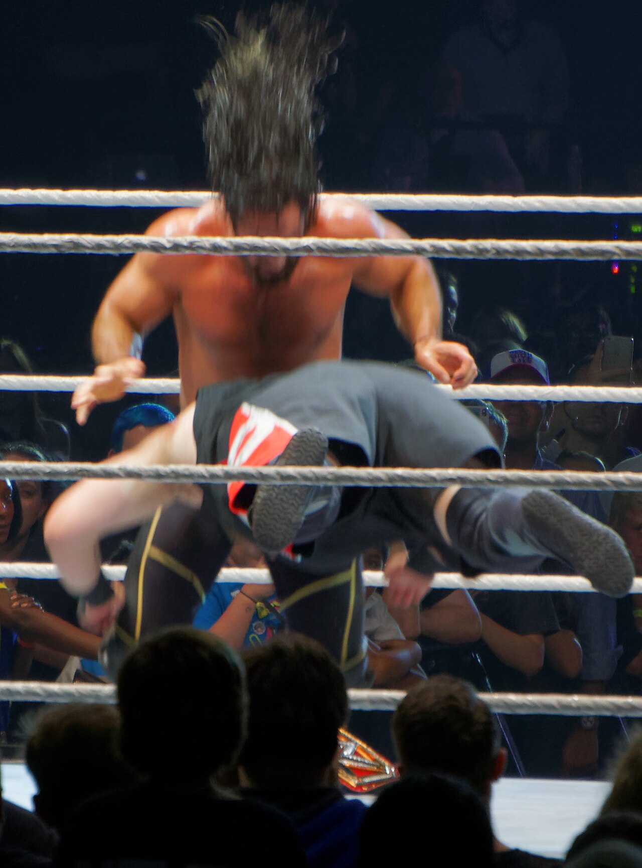 Seth Rollins