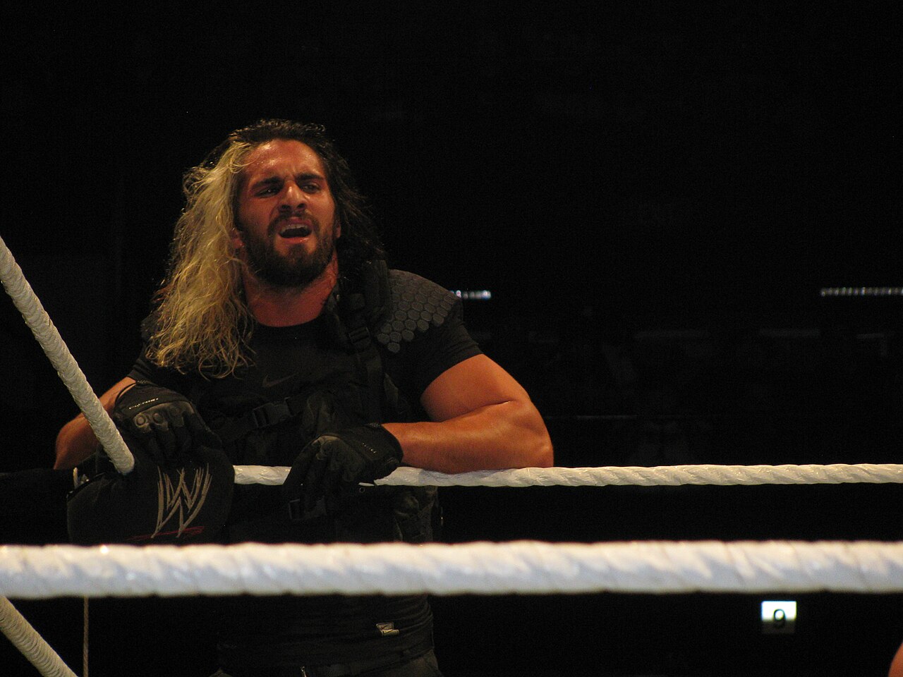 Seth Rollins
