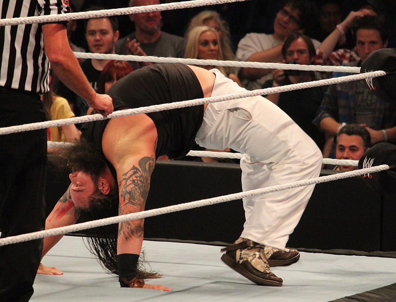 The Wyatt Family